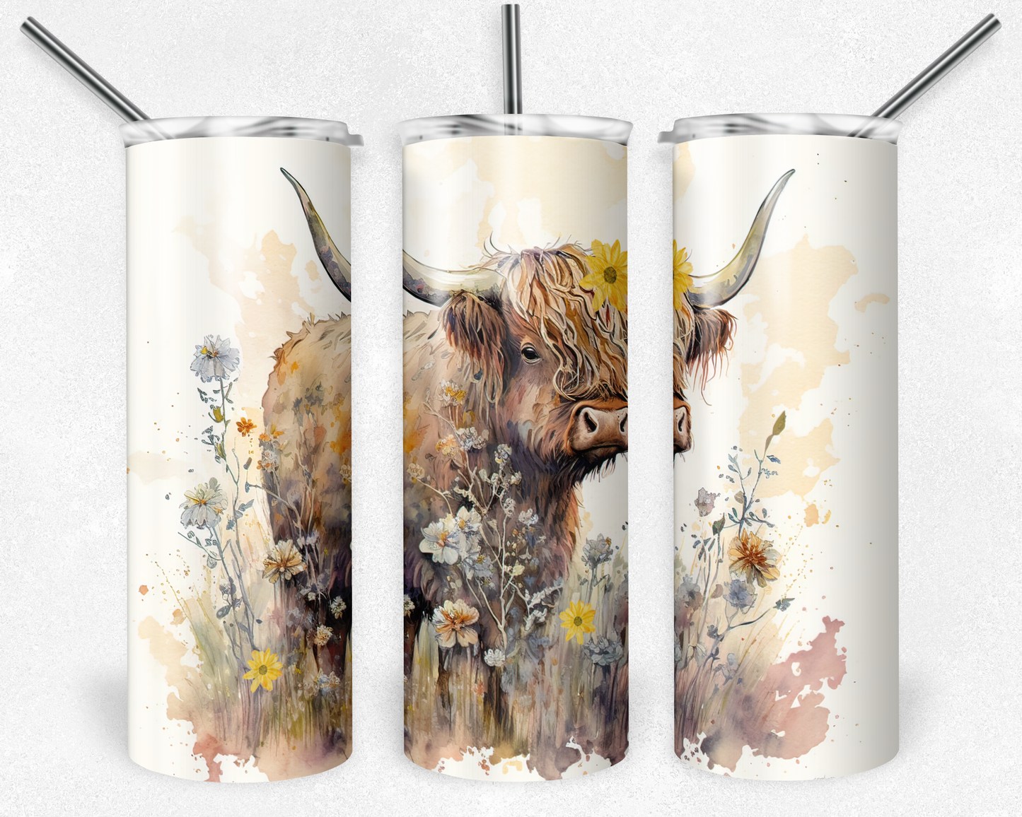 Highland Cow