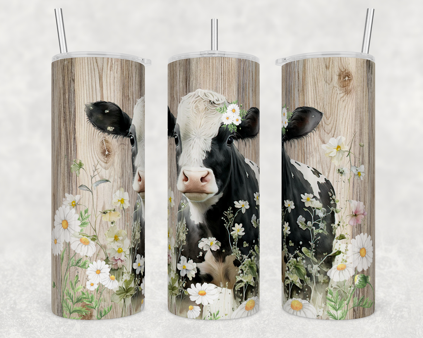 Dairy Cow